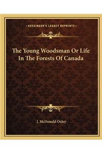 Young Woodsman or Life in the Forests of Canada