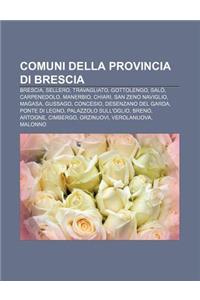 Comuni Della Provincia Di Brescia