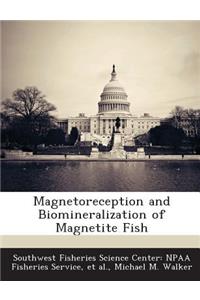 Magnetoreception and Biomineralization of Magnetite Fish