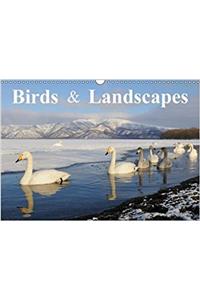 Birds & Landscapes / UK-Version 2017