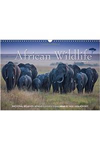 Emotional Moments: African Wildlife / UK-Version 2017