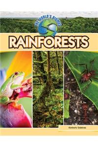 World Biomes: Rainforests