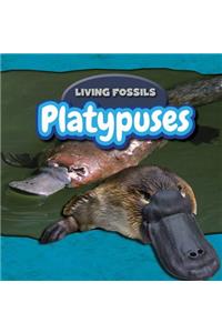 Platypuses