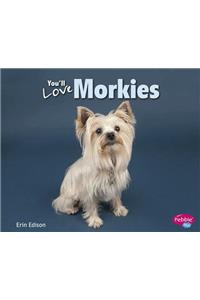 You'll Love Morkies