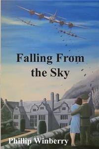 Falling From The Sky