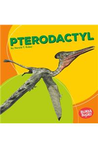 Pterodactyl