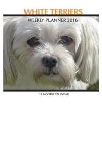 White Terriers Weekly Planner 2016