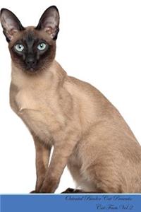 Oriental Bicolor Cat Presents: Cat Facts Workbook. Oriental Bicolor Cat Presents Cat Facts Workbook with Self Therapy, Journalling, Productivity Tracker with Self Therapy, Journalling, Productivity Tracker Workbook. Includes: Space for Notes, to Do