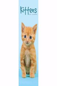 KITTENS SLIM CALENDAR 2021