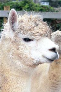 Llama Portrait Animal Journal