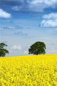 Yellow Field Journal
