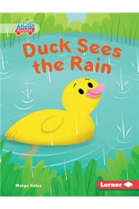 Duck Sees the Rain