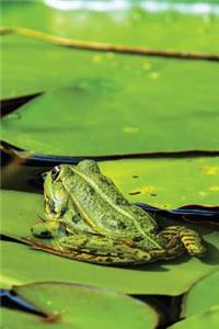 Lillypad Frog Notebook