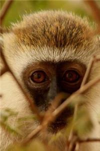 Adorable Baby Monkey Peeking Through the Branches Journal