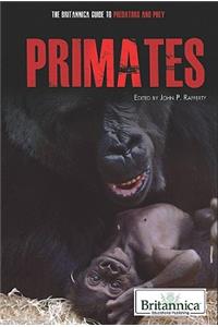 Primates