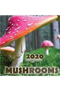 Mushrooms 2020 Mini Wall Calendar