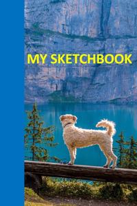 My Sketchbook