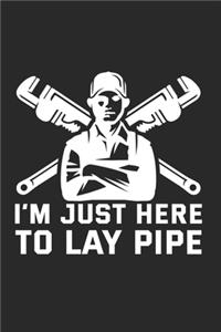 IMjust Here To Lay Pipe