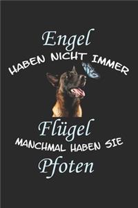 Engel haben nicht immer Flügel manchmal haben sie Pfoten