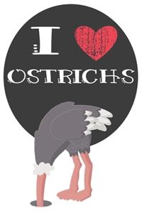I Heart Ostrichs