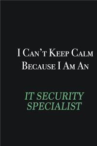 I cant Keep Calm because I am an IT Security Specialist