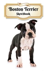Boston Terrier Sketchbook