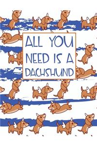 All You Need is A Dachshund
