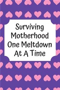 Surviving Motherhood One Meltdown At A Time