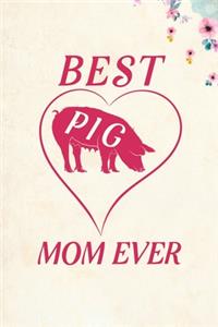 Best Pig Mom Ever
