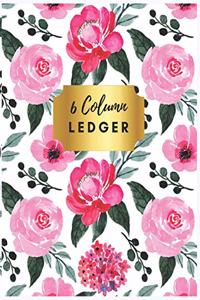 6 Column Ledger