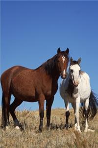 2020 Weekly Planner Horse Photo Equine Buddies 134 Pages