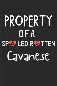 Property Of A Spoiled Rotten Cavanese