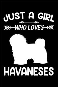 Just A Girl Who Loves HAVANESES