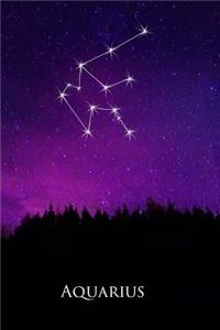 2019 Daily Planner Aquarius Constellation Night Sky Astrology Symbol 384 Pages
