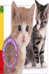 Touch & Feel: Kitten and Friends (Pancake Touch and Feel)