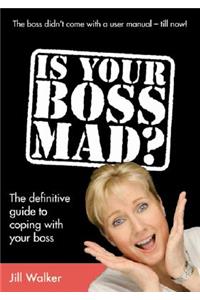 Is Your Boss Mad?