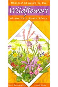 Illustrated Guide to the Wildflowers of Northern South Africa