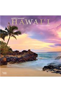 Hawaii Wild & Scenic 2020 Square Foil