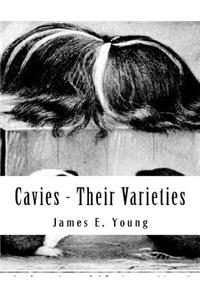 Cavies - Their Varieties