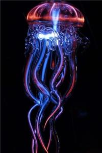 Jellyfish Notebook