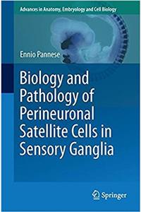 Biology and Pathology of Perineuronal Satellite Cells in Sensory Ganglia
