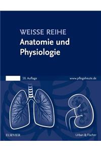 Anatomie Und Physiologie