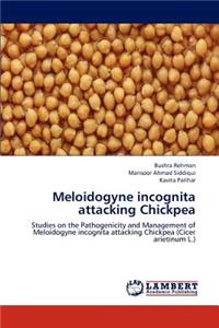 Meloidogyne incognita attacking Chickpea