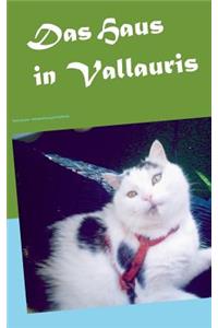 Das Haus in Vallauris