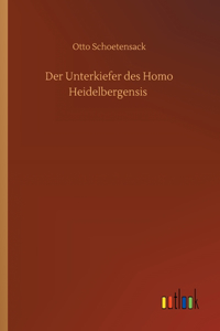 Der Unterkiefer des Homo Heidelbergensis
