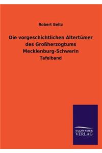 Vorgeschichtlichen Altertumer Des Grossherzogtums Mecklenburg-Schwerin