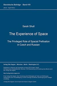 The Experience of Space