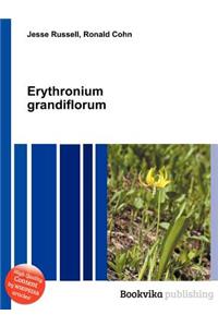 Erythronium Grandiflorum