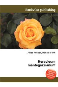Heracleum Mantegazzianum
