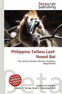 Philippine Tailless Leaf-Nosed Bat